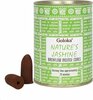 goloka jasmijn backflow wierook