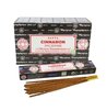 satya cinnamon wierook