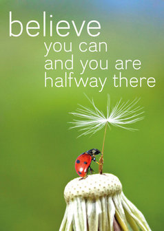 Postcard - Believe you can and you are halfway there