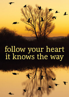 Postcard - Follow your heart it knows the way