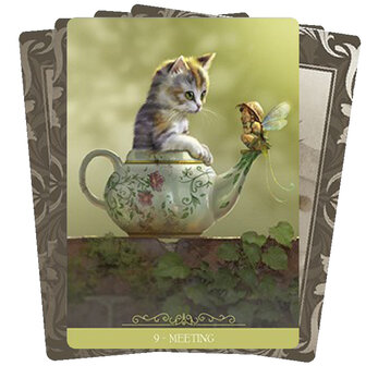 Barbieri Fantasy Cats orakel kaarten 