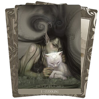 Barbieri Fantasy Cats orakel kaarten 