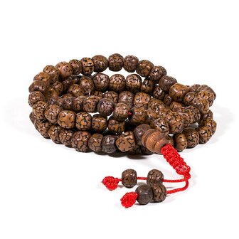 mala ketting rudraksha