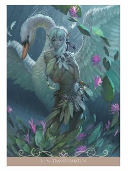 Barbieri Night Fairies orakel kaarten 