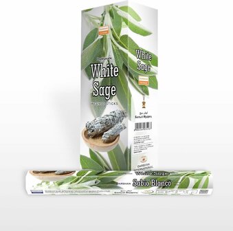 darshan white sage wierook
