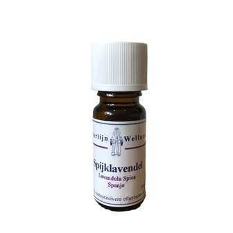 spijk lavendel etherische olie merlijn wellness