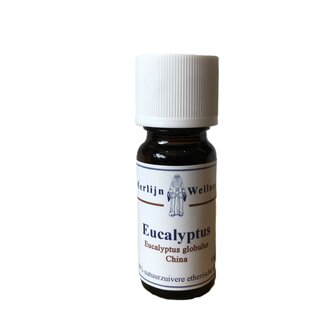 eucalyptus etherische olie merlijn wellness