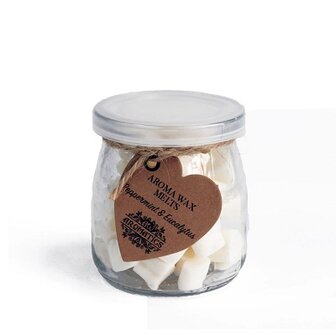 pepermunt eucalyptus wax melts