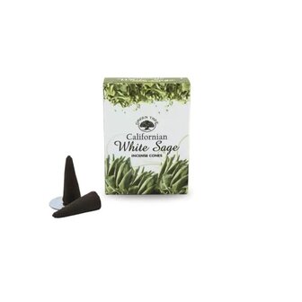 californian white sage wierookkegel green tree