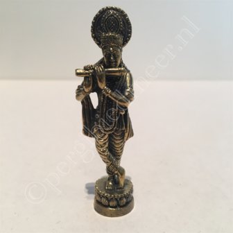 krishna brons