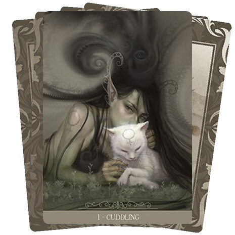 Barbieri Fantasy Cats orakel kaarten 