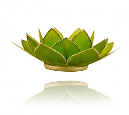 kroon Schoolonderwijs Inconsistent Lotus sfeerlicht chakra groen