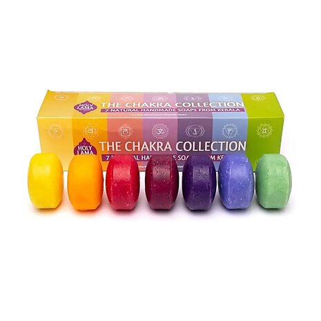 holy lama zeep 7 chakra