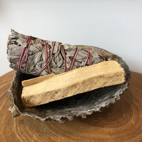 Reinigingsset witte salie met palo santo in abeloneschelp