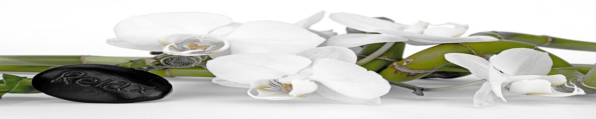 AROMA & WELLNESS PRODUCTEN