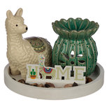 Waxmeltbrander cactus lamaset Waxmeltbrander cactus lamaset