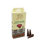 Backflow Native White Sage & Palo Santo wierookkegel Backflow Native White Sage & Palo Santo wierookkegel