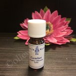 Gember 100% natuurzuivere olie merlijn Gember 100% natuurzuivere olie merlijn