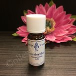 Laurierblad 100% natuurzuivere olie merlijn Laurierblad 100% natuurzuivere olie merlijn