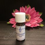Kruizemunt 100% natuurzuivere olie merlijn Kruizemunt 100% natuurzuivere olie merlijn