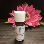 Basilicum etherische olie merlijn Basilicum etherische olie merlijn