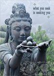 Amber Lotus What you seek wenskaart Amber Lotus What you seek wenskaart