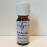 1e chakra stuit olie merlijn wellness 10ml 1e chakra stuit olie merlijn wellness 10ml