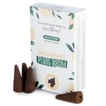 Energising backflow wierook kegels Energising backflow wierook kegels