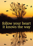 Postcard - Follow your heart it knows the way Postcard - Follow your heart it knows the way