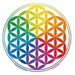 Raamsticker Bloem des levens regenboog Raamsticker Bloem des levens regenboog