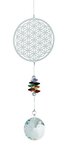 Kristal Regenboog Chakra Levensbloem Feng Shui Kristal Regenboog Chakra Levensbloem Feng Shui