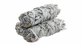 Witte Salie smudge stick 10 cm Witte Salie smudge stick 10 cm