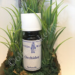 Orchidee Parfumolie 10ml Orchidee Parfumolie 10ml