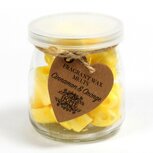 Kaneel sinaasappel wax melts 