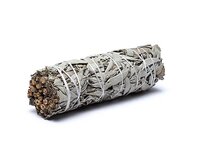 Witte Salie smudge stick 